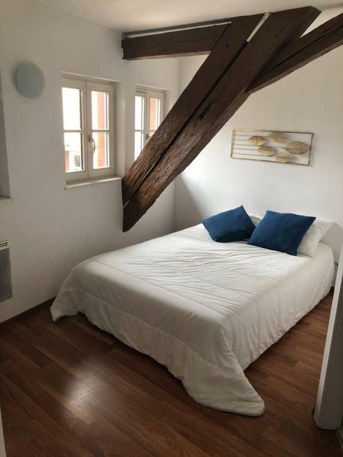 Appartement Avec Balcon Centre Ville Strasbourg Exterior photo